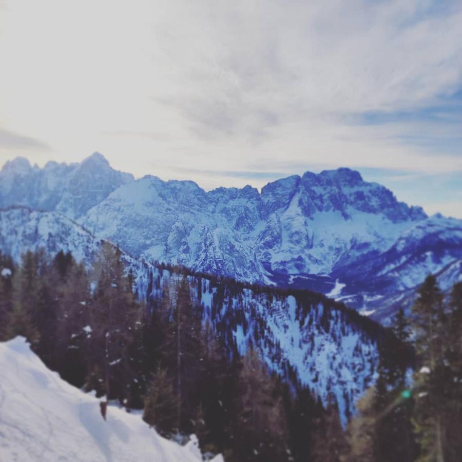 Al Sentiero Di Charly Bed & Breakfast Tarvisio Bagian luar foto