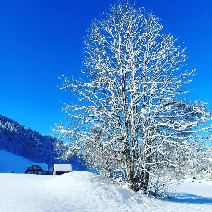 Al Sentiero Di Charly Bed & Breakfast Tarvisio Bagian luar foto
