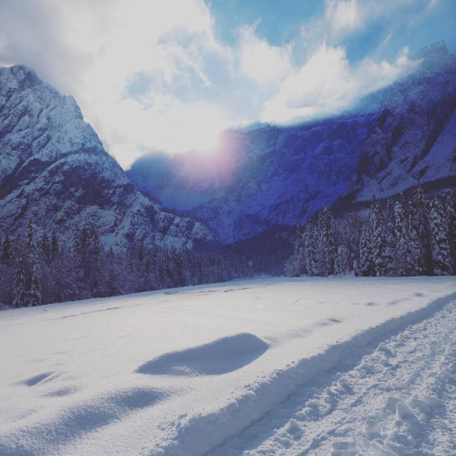 Al Sentiero Di Charly Bed & Breakfast Tarvisio Bagian luar foto